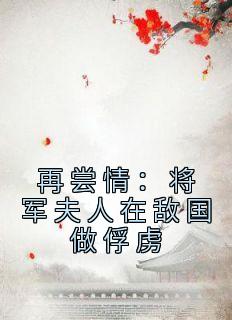 主角是姜湄叶桓的小说-《再尝情：将军夫人在敌国做俘虏》完整章节阅读