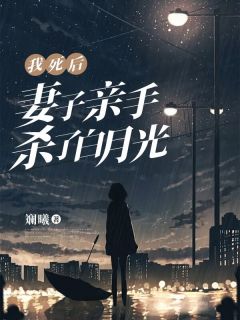抖音小说【程安黄雅】全集免费版在线阅读